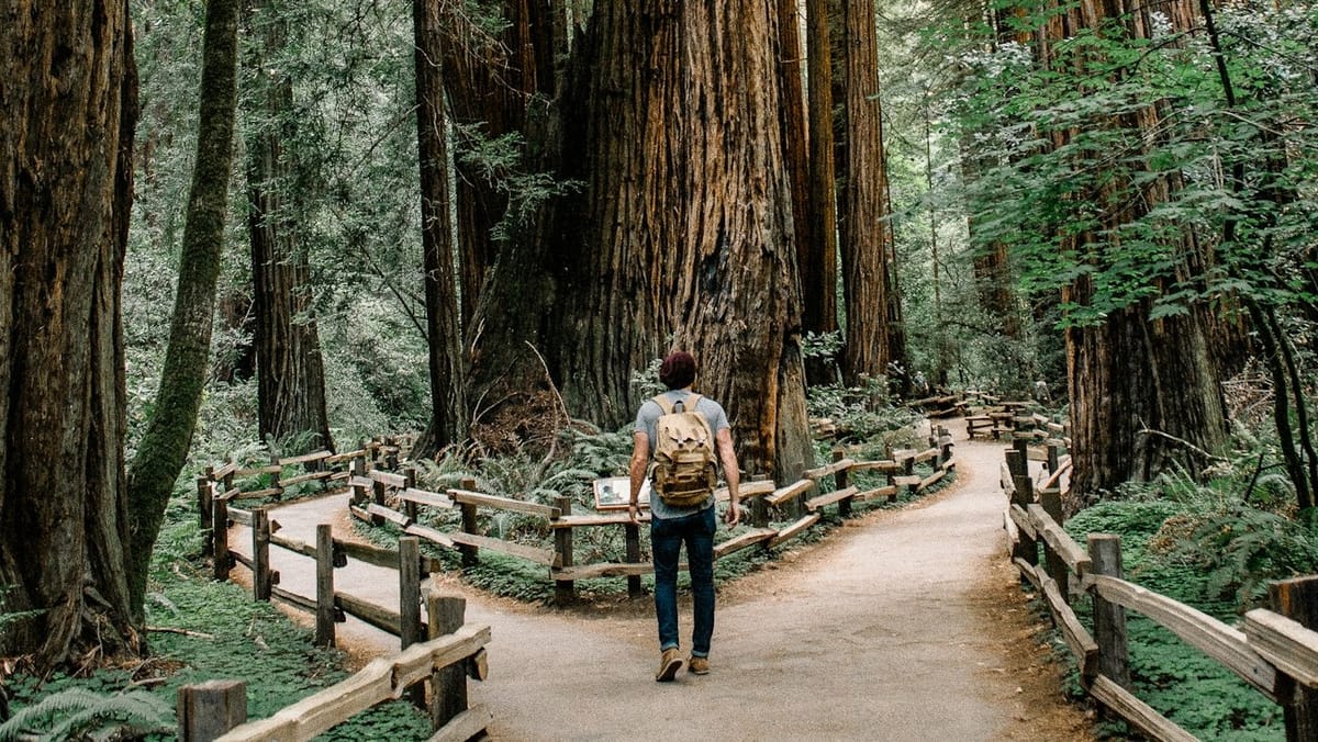 How I’m Choosing My Work for 2026