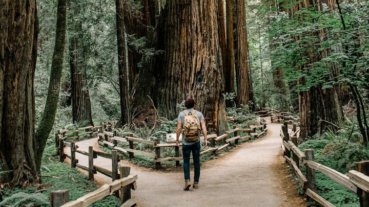 How I’m Choosing My Work for 2026